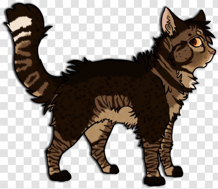 Whiskers Wildcat Fur Paw - Mammal - Cat Transparent PNG