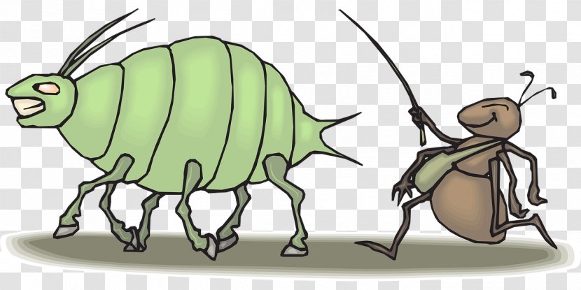 Ant Aphid Clip Art Beetle Pest Transparent PNG