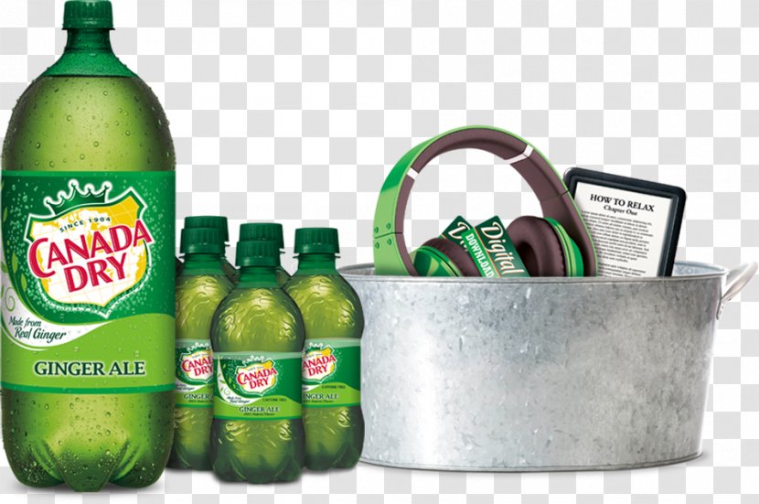 Ginger Ale Fizzy Drinks Bitter Lemon Diet Drink Canada Dry - Alcoholic Transparent PNG