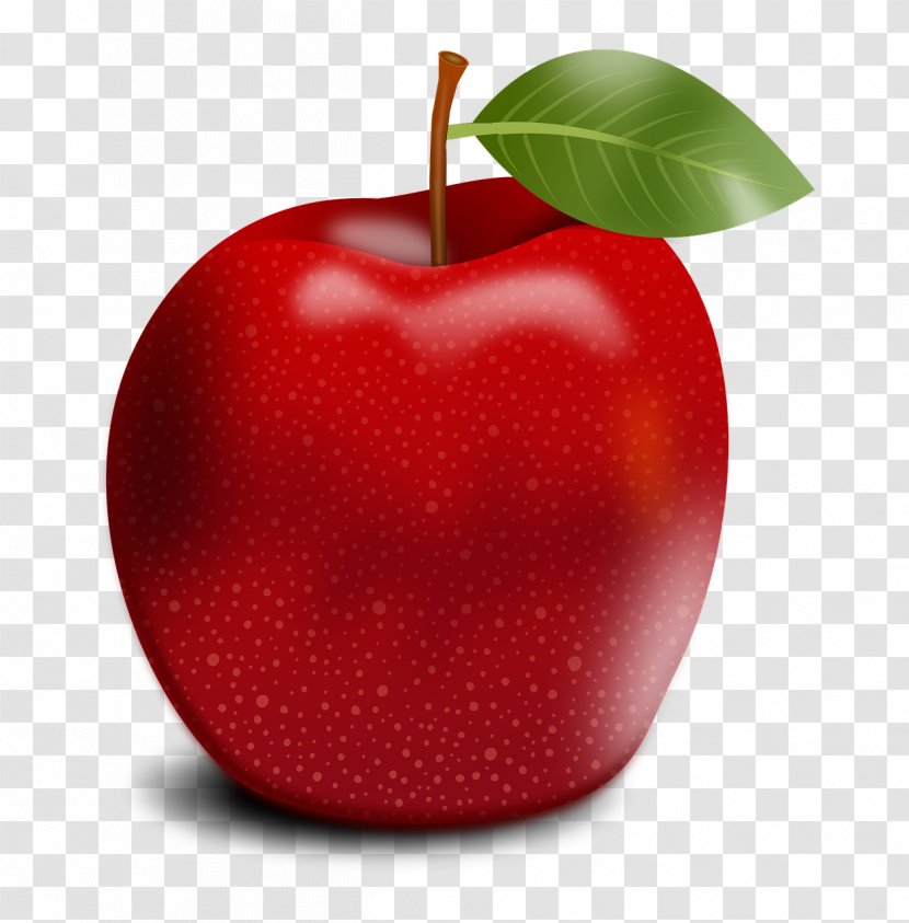 Apple Fruit Tree - Zestar Transparent PNG