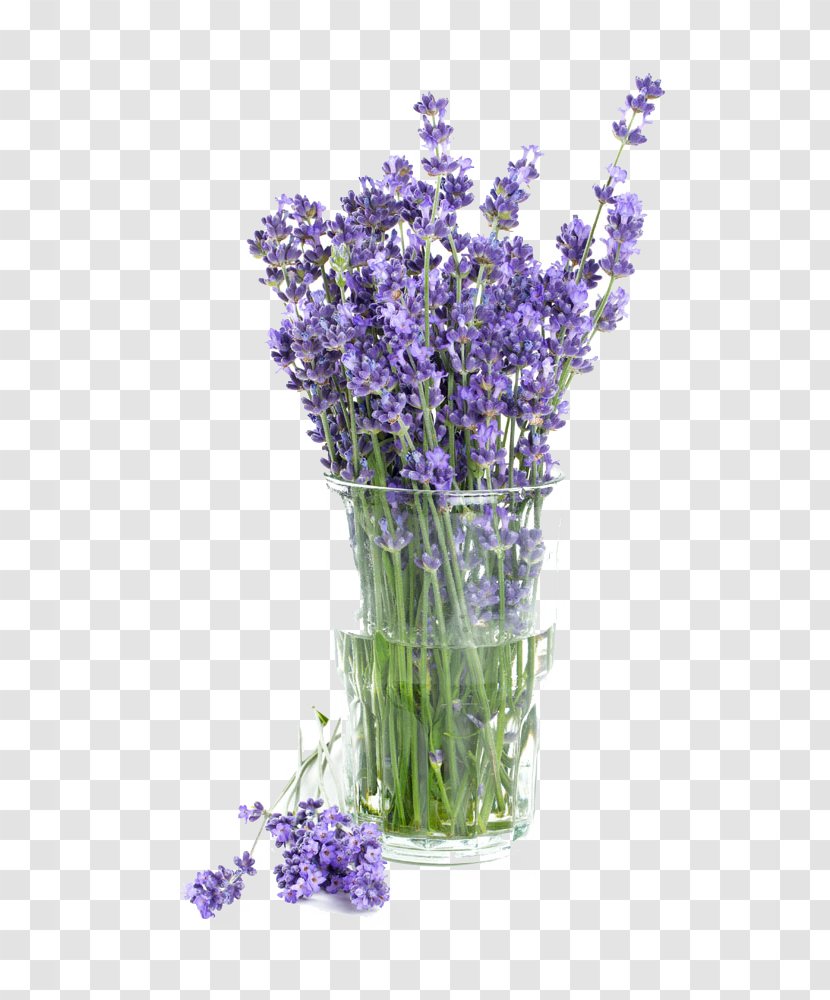 Lavender Bath Bomb Shampoo Bathing Salts - Flowering Plant - Potted Bouquet Transparent PNG