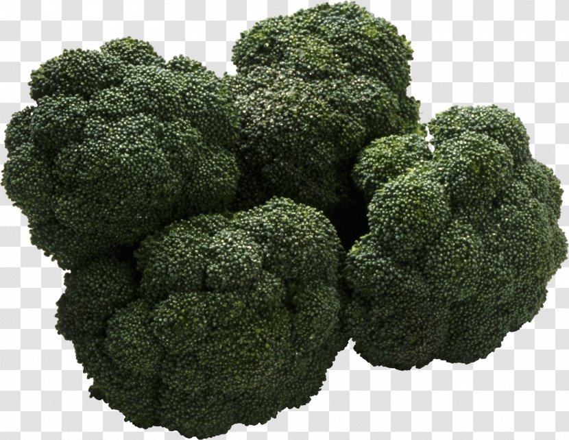 Sour Organic Food Bitter Taste - Junk - Broccoli Image Transparent PNG