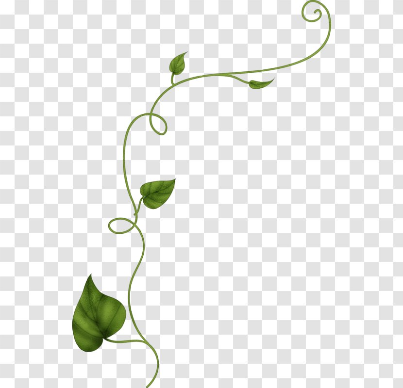 Leaf Vine Drawing Flower Plant - Coloring Book Transparent PNG