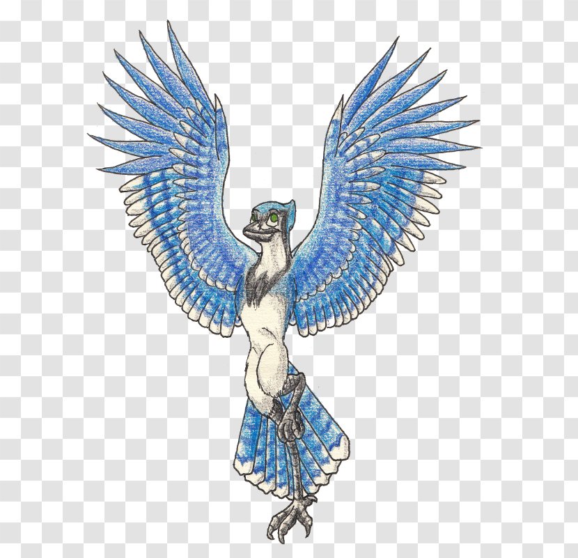 Bird Blue Jay Wing Eagle - Beak Transparent PNG