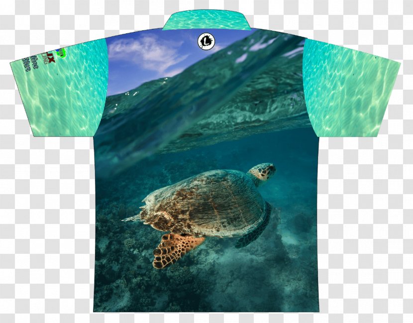 Loggerhead Sea Turtle Ecosystem Marine Biology Fauna Transparent PNG