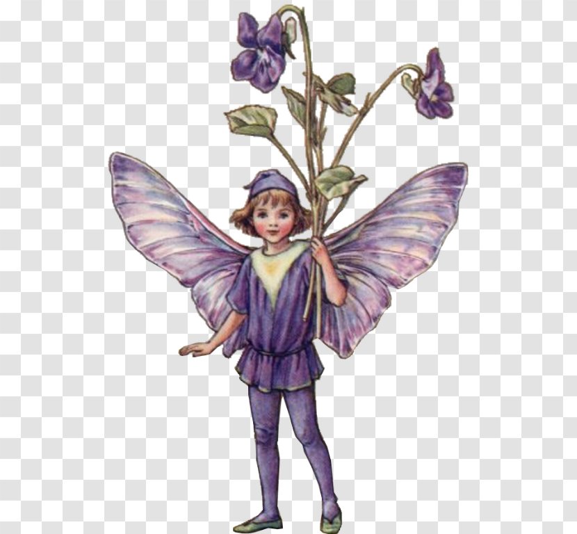Croydon The Flower Fairies Complete Collection Of Spring Book - Purple - Fairy Transparent PNG