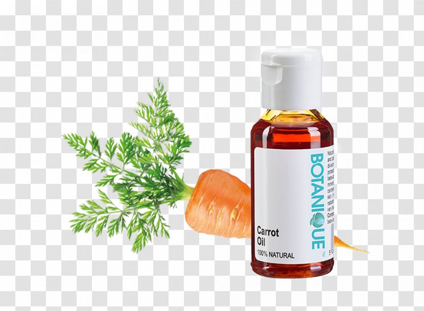 Carrot Seed Oil Sunflower - Vegetable - Natural Ingredients Transparent PNG