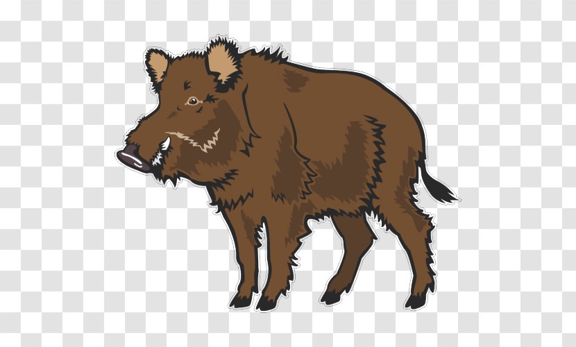 Wild Boar Common Warthog Clip Art - Snout - Bear Transparent PNG