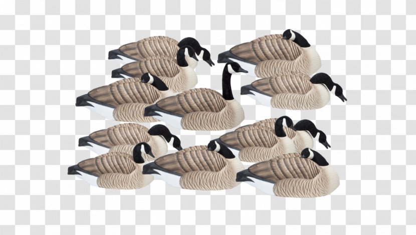 Goose Waterfowl Hunting Decoy Final Approach 474165fa Last Pass HD - Gadwall Transparent PNG