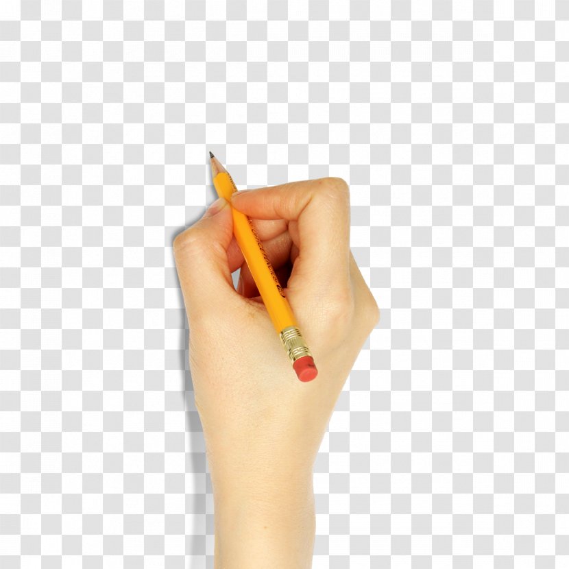 Pencil Writing - Ink Brush - Hand Holding A Transparent PNG