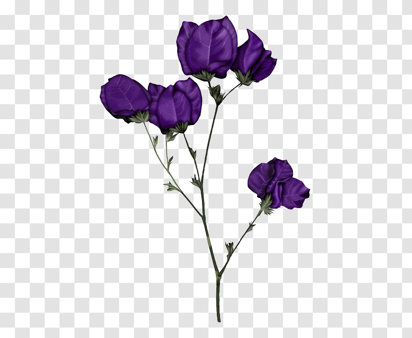Flower Clip Art Blue Rose - Floribunda - Baby Breath Flowers Transparent PNG