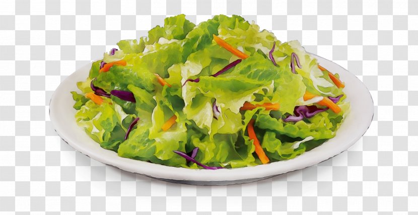 Romaine Lettuce Vegetarian Cuisine Food Salad Garnish - Leaf Transparent PNG