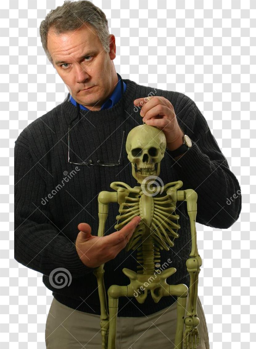 Stock Photography Human Skeleton Bone Anatomy Transparent PNG