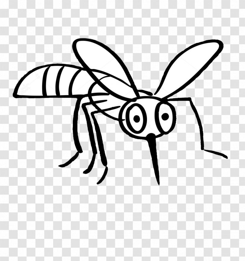 Clip Art Drawing Mosquito Line Image - Insect Transparent PNG