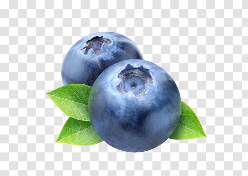 Blueberry Frutti Di Bosco Clip Art - Image File Formats - Photos Transparent PNG