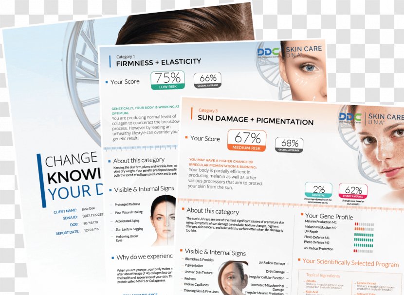 Display Advertising Logo Flyer Service - Hair Transparent PNG