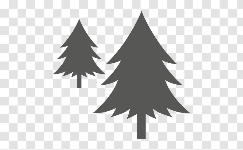 Pine Tree - Family - Fir-tree Transparent PNG