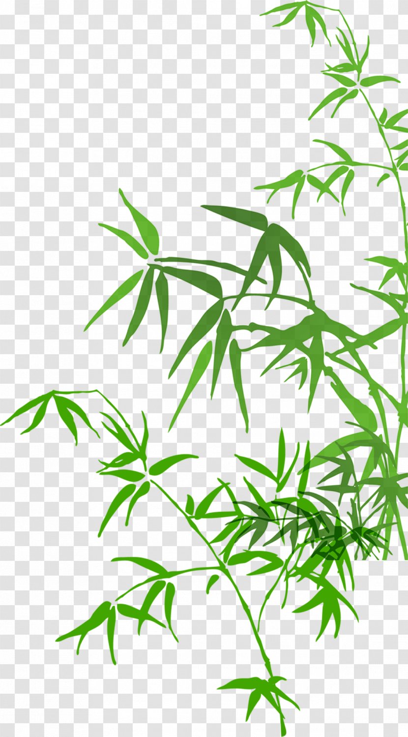 Bamboo Watercolor Painting - Plant Stem Transparent PNG