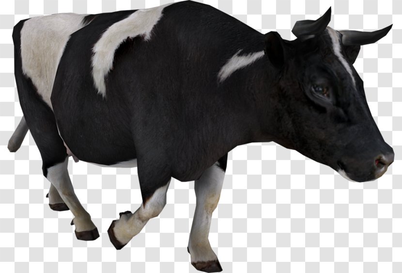 Taurine Cattle Clip Art - Dairy - Vache Transparent PNG