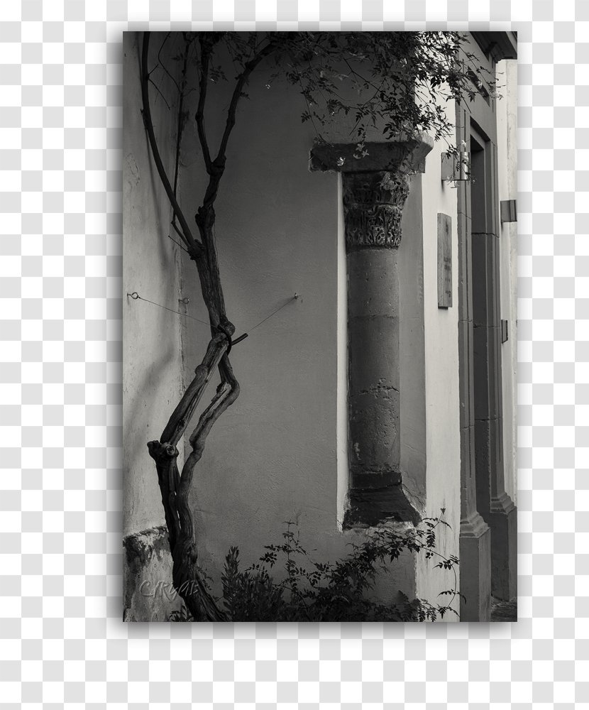 Still Life Photography Window Facade - Column Transparent PNG