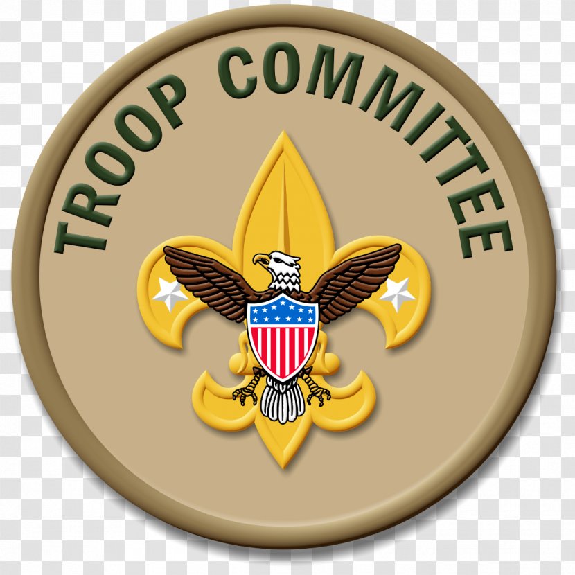Ranks In The Boy Scouts Of America Eagle Scout Merit Badge Scouting - Court Honor - Cub Transparent PNG