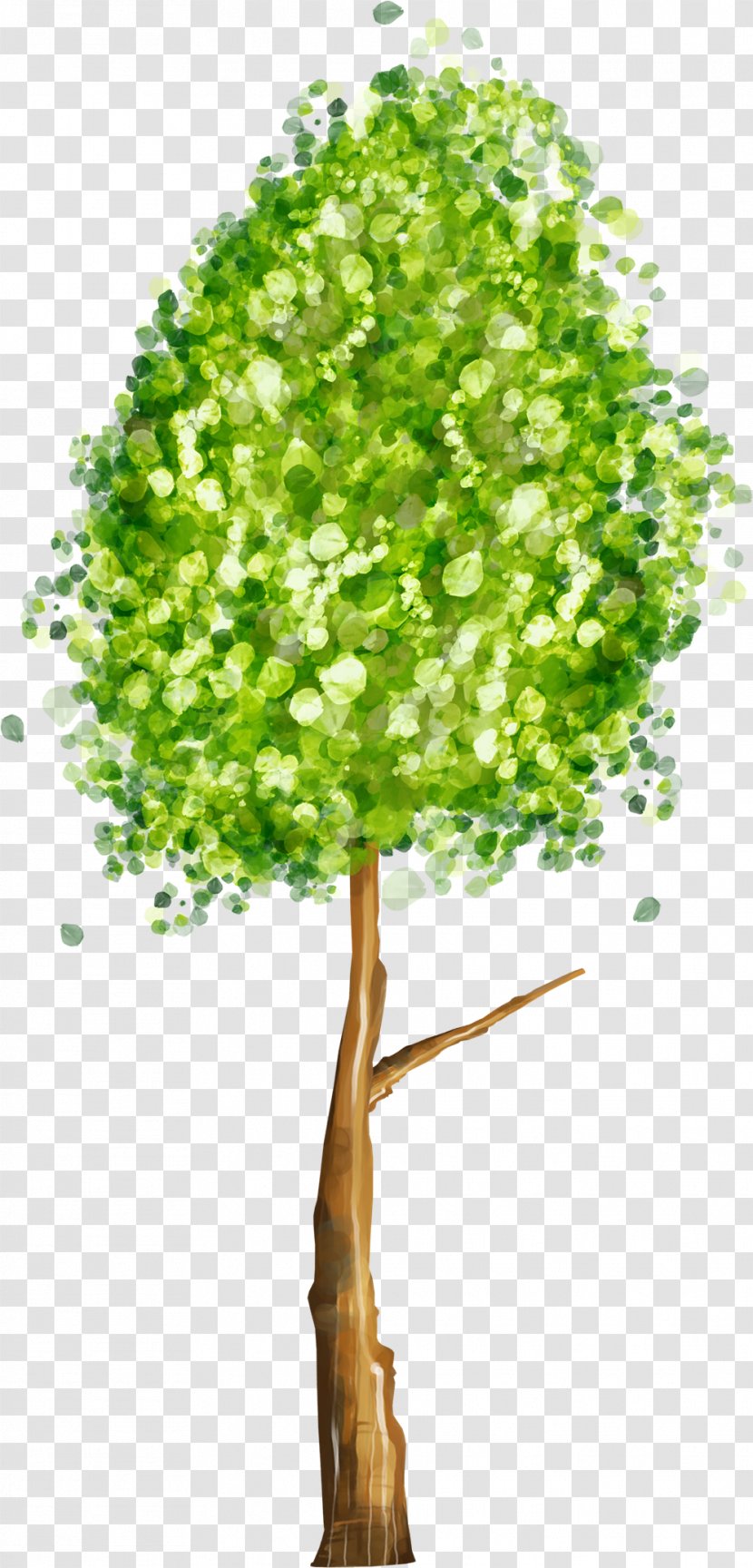 Ficus Religiosa Drawing Royalty-free Cartoon Clip Art - Tree Trunk Transparent PNG