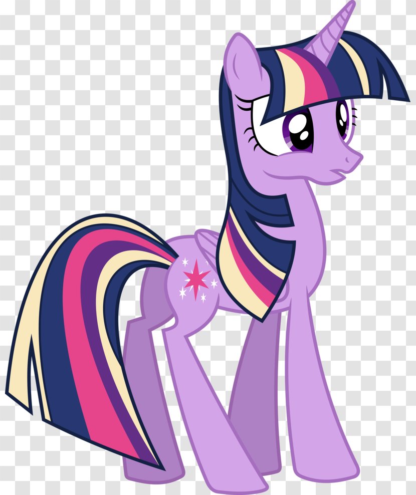 Twilight Sparkle Rainbow Dash My Little Pony Princess Cadance Transparent PNG