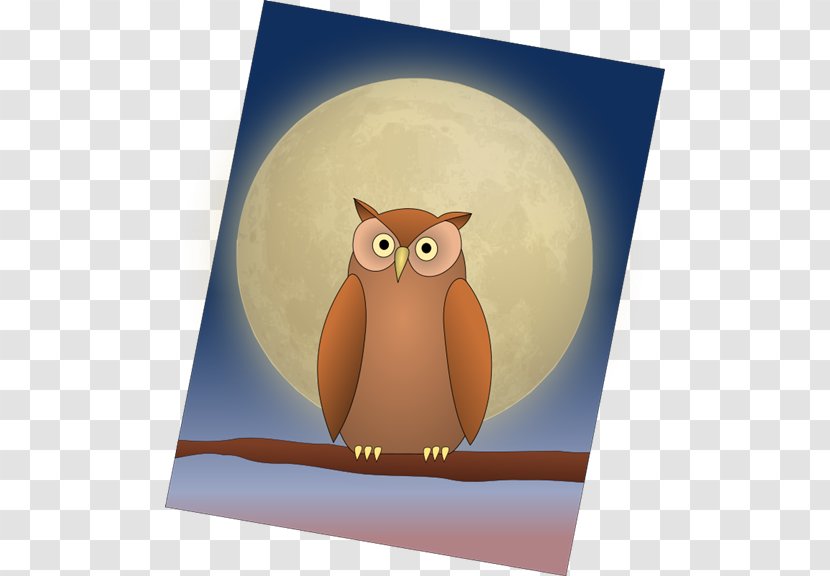 Owl Bird Moon Clip Art - Illustration Transparent PNG