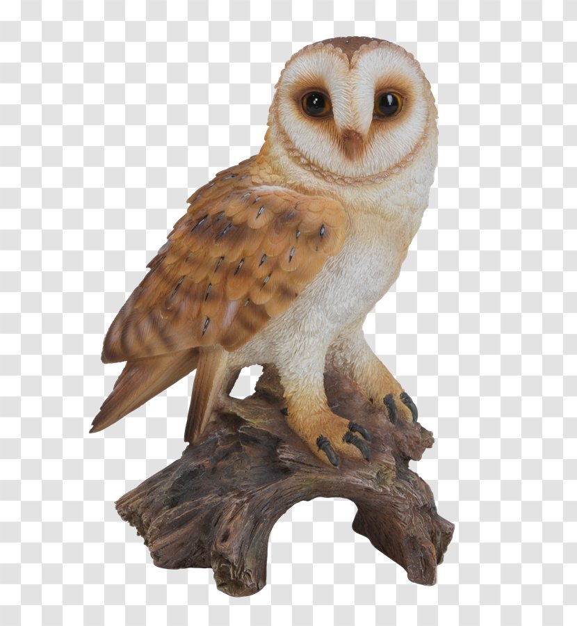 Barn Owl Border Concepts, Inc. Statue Figurine - Bird Of Prey - The Feature Northern Barbecue Transparent PNG