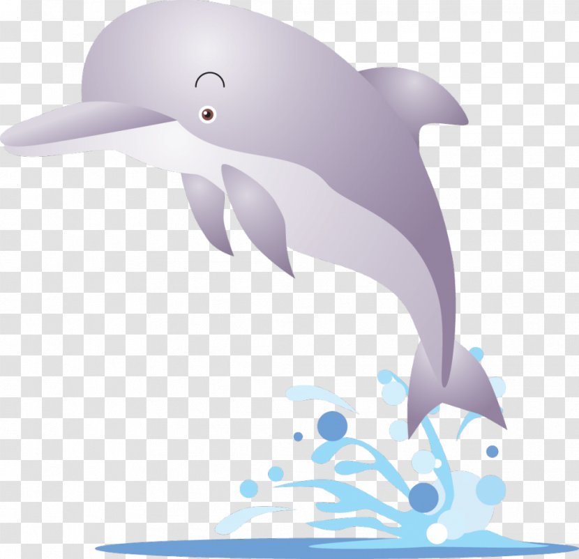 Karadag Dolphinarium Clip Art - Drawing - Dolphin Transparent PNG