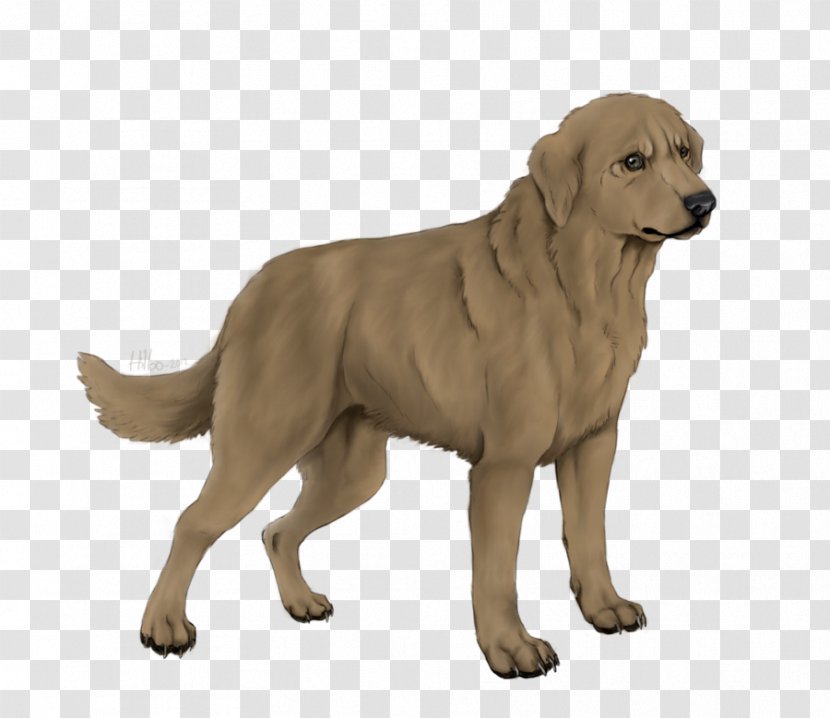 Golden Retriever Labrador Ancient Dog Breeds Companion - Deviantart - Mix Transparent PNG