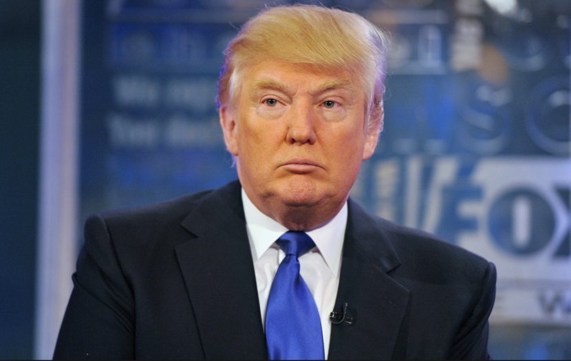 Donald Trump United States Celebrity Republican Party Actor - President Of The Transparent PNG