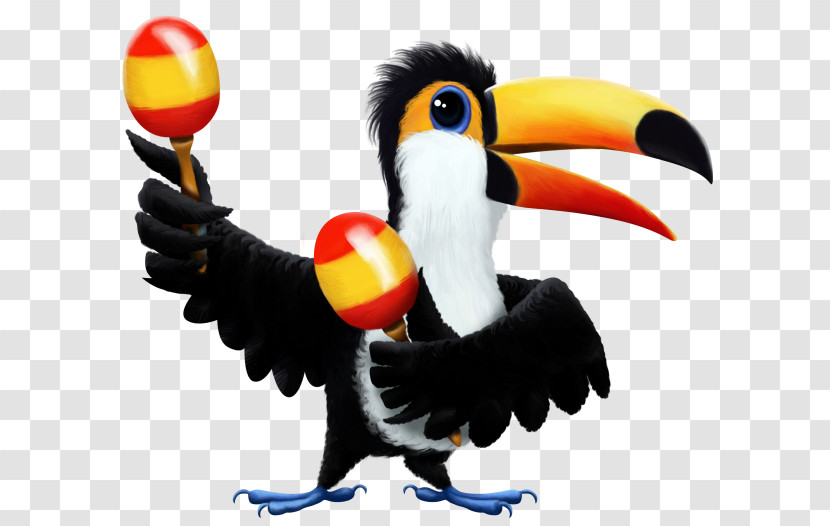 Bird Toucan Beak Hornbill Piciformes Transparent PNG