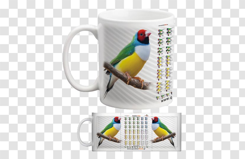 Mug Parakeet Cup Pet Transparent PNG