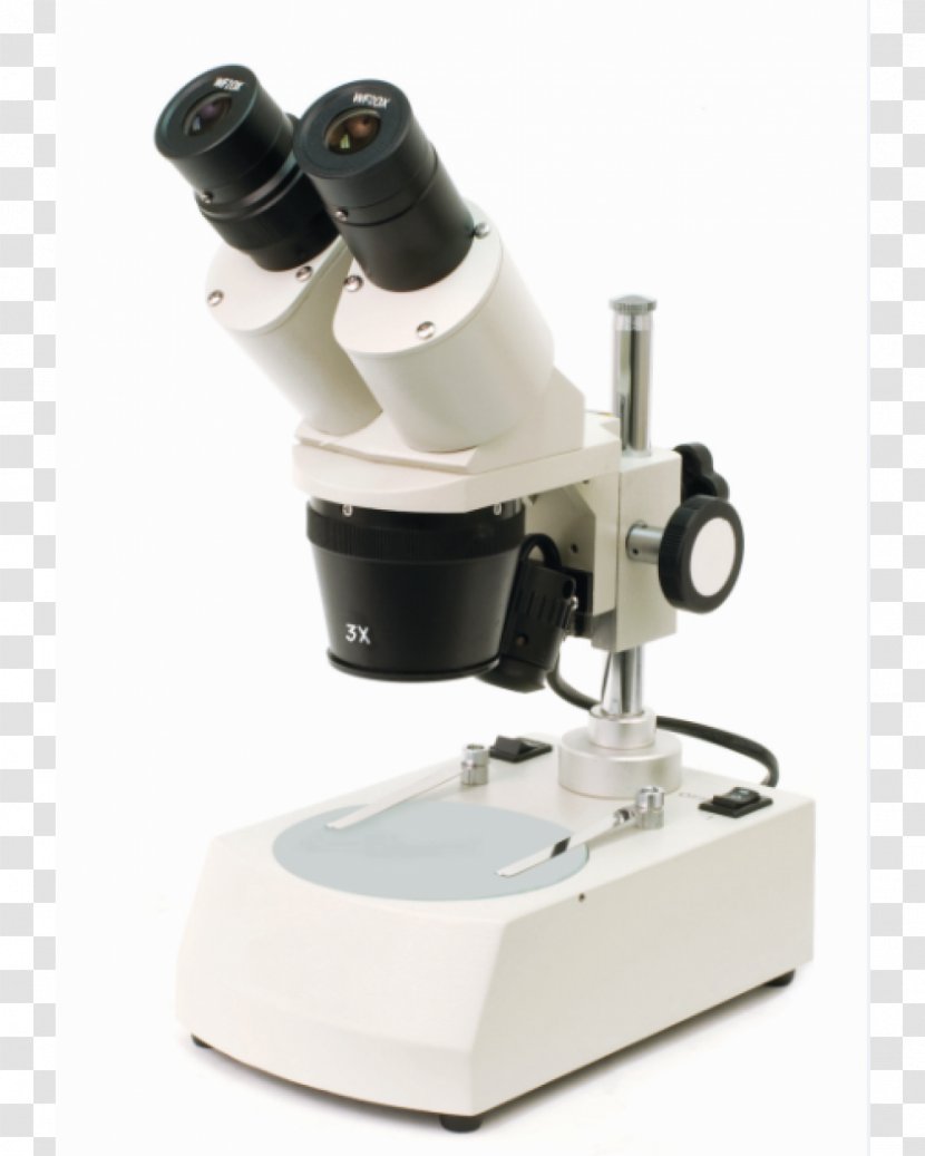 Stereo Microscope Magnification Optics Zoological Specimen - Focus Transparent PNG