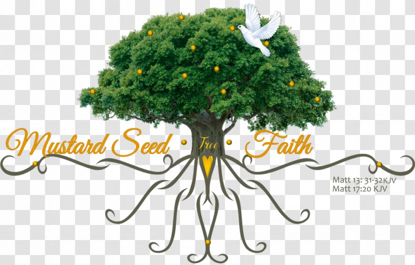 Parable Of The Mustard Seed Plant - Faith - Organism Transparent PNG