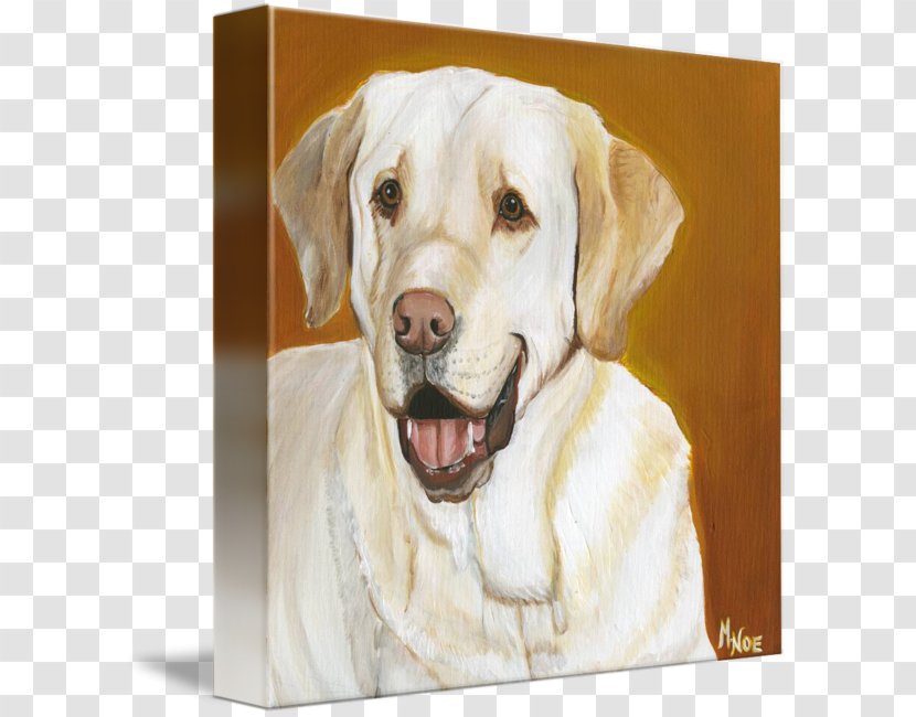 Labrador Retriever Dog Breed Companion Sporting Group - Painting - Yellow Lab Transparent PNG