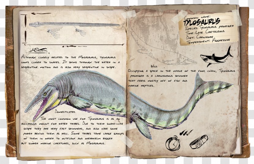 ARK: Survival Evolved Tylosaurus Carnotaurus Tyrannosaurus Brachiosaurus - Tame Animal - Dinosaur Transparent PNG