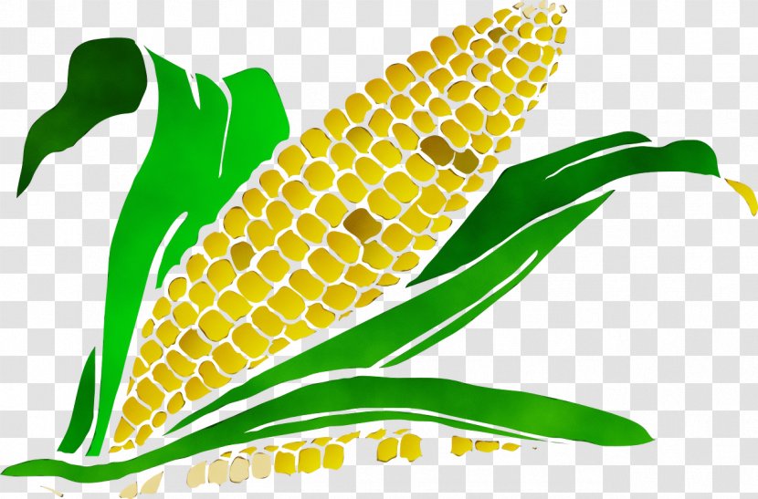 Watercolor Leaf - Logo - Food Grain Vegetarian Transparent PNG