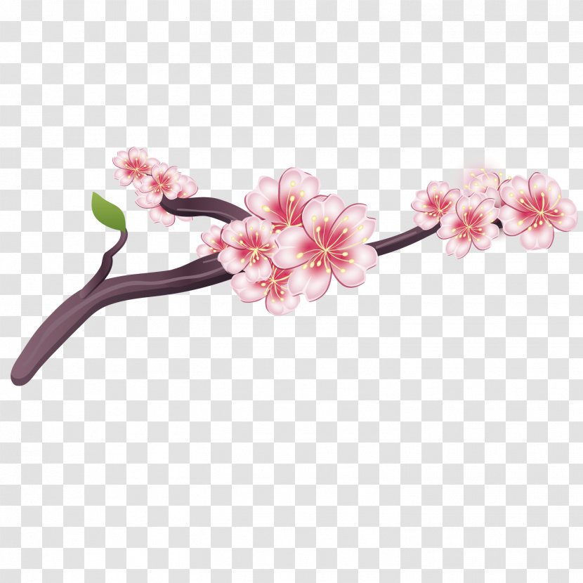 National Cherry Blossom Festival - Plant - Exquisite Plum Transparent PNG