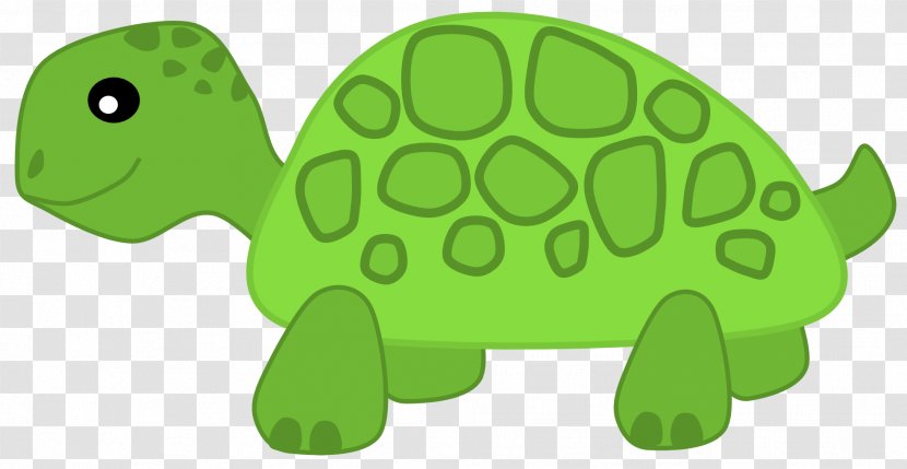 Turtle Herbivore Clip Art - Fauna - Cute Transparent Image Transparent PNG