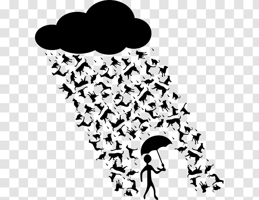 Cats & Dogs Rain Mouse - Idiom - Dog Transparent PNG