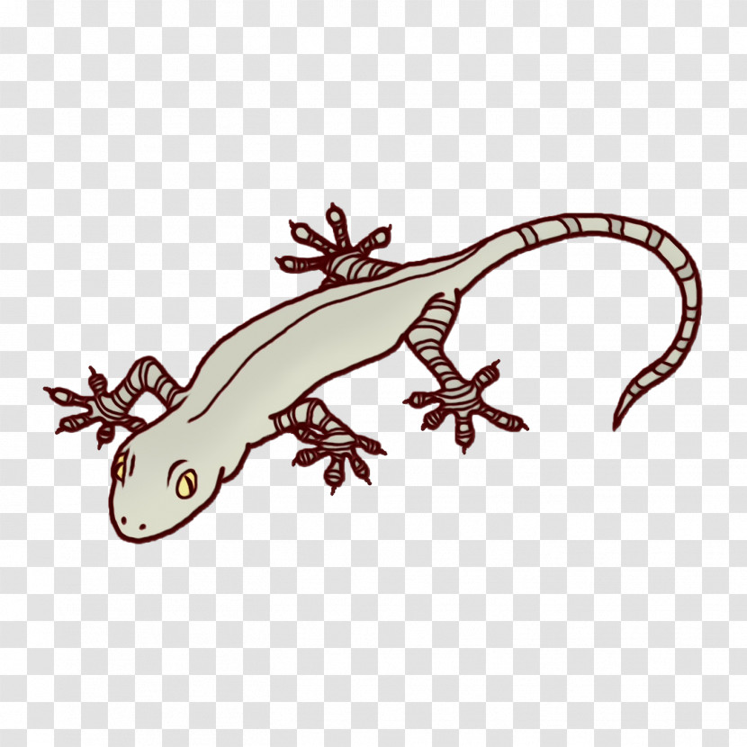 Gecko Lizard Biology Reptiles Science Transparent PNG