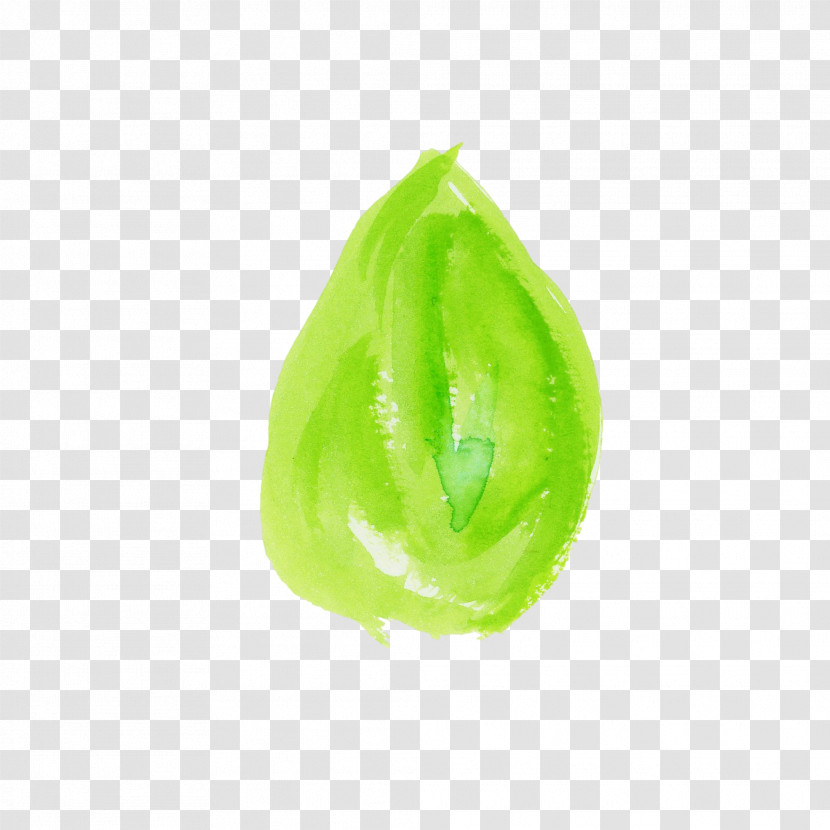 Green Leaf Plant Legume Transparent PNG