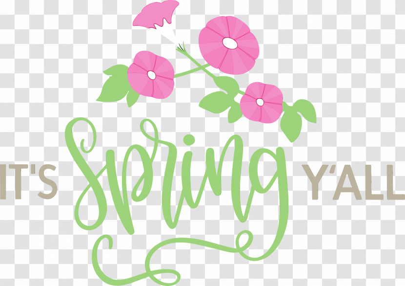 Floral Design Transparent PNG