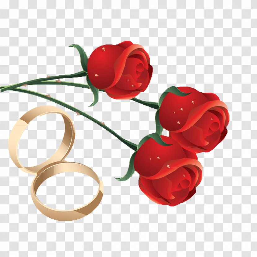 Ring Engagement Adobe Illustrator - Marriage - Rose Vector Material Transparent PNG
