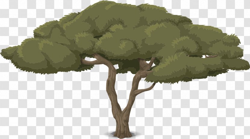 Branch Tree Animaatio Cartoon Transparent PNG