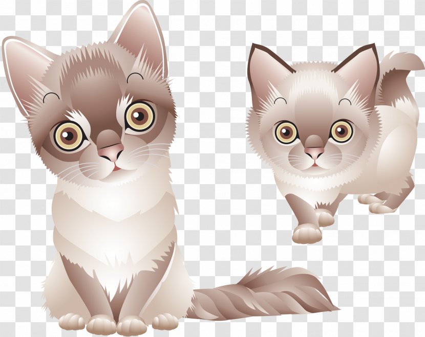 Cat Kitten Clip Art - Drawing Transparent PNG