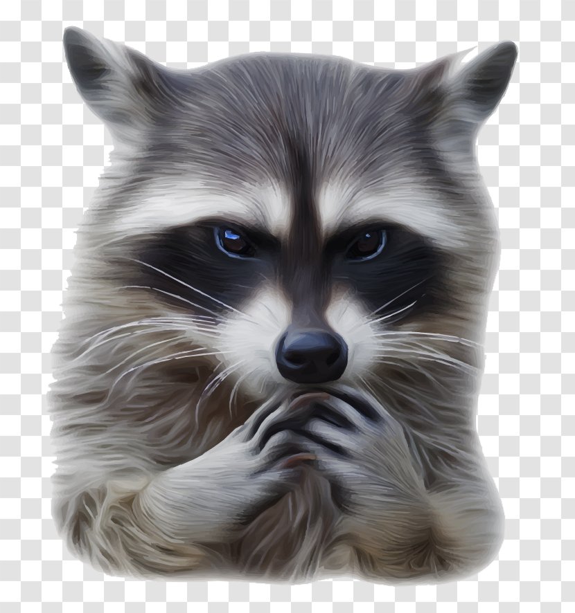 Raccoon Rat Euclidean Vector Illustration - Mammal Transparent PNG