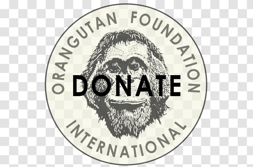 Martin City Le Jardin Academy Orangutan Foundation International VegLife KC Antigua Sailing Week - Veglife Kc - Orangutans Transparent PNG